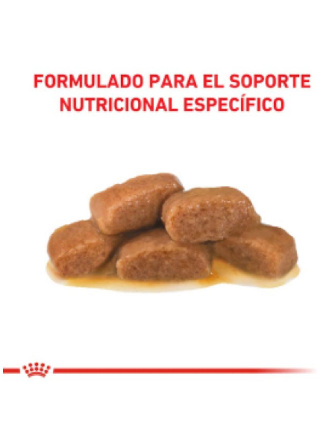 ROYAL CANIN POUCH GASTROINTESTINAL GATO 85G (12 UNIDADES) - 6