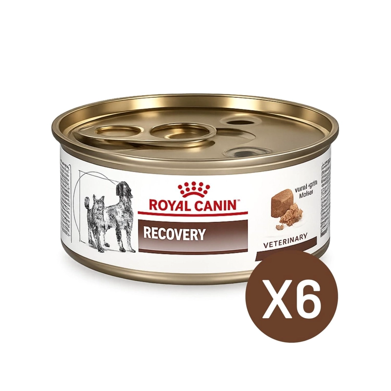 ROYAL CANIN RECOVERY 145G PERRO GATO PACK 6 LATAS - 1