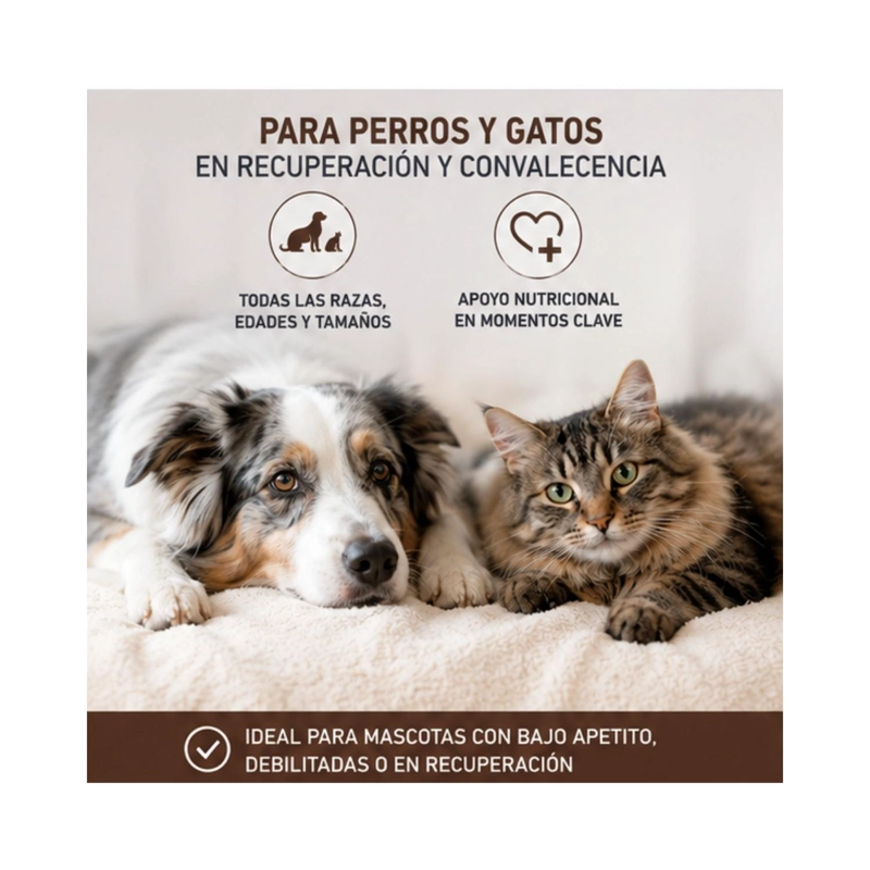 ROYAL CANIN RECOVERY 145G PERRO GATO PACK 6 LATAS - 4