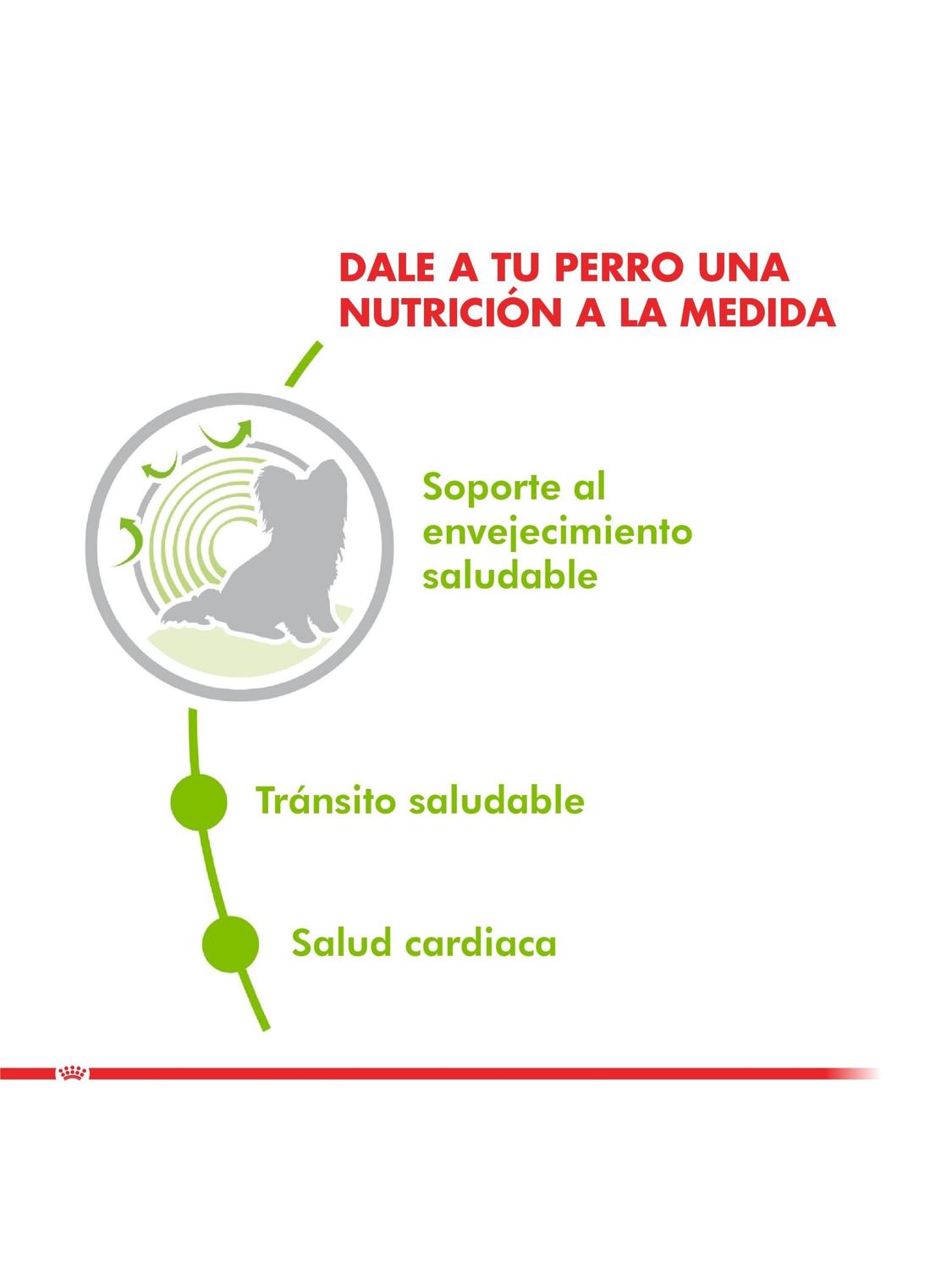 ALIMENTO ROYAL CANIN X-SMALL AGEING 12+ 1KG - 3