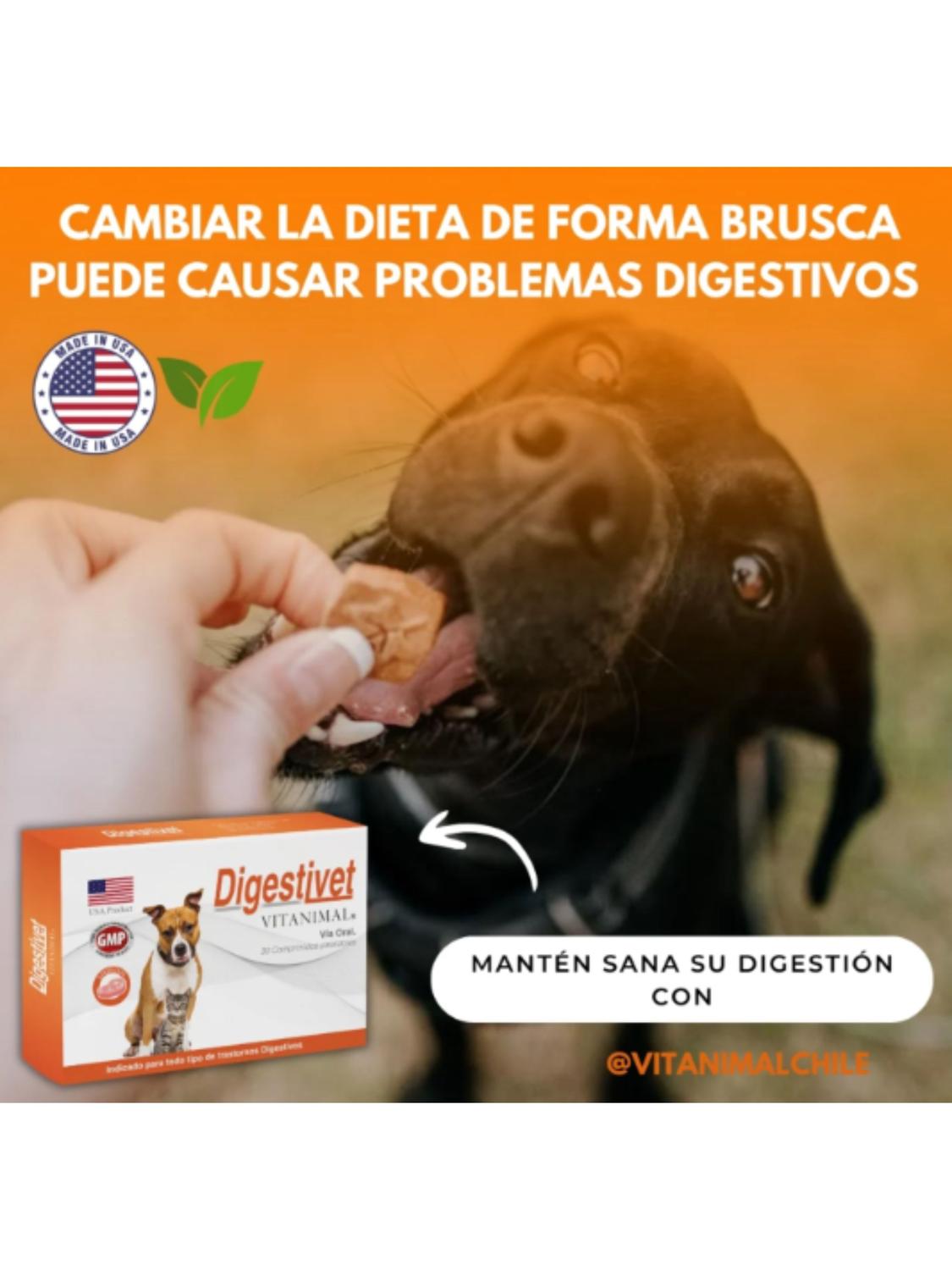 DIGESTIVET - 10 COMPRIMIDOS - 2