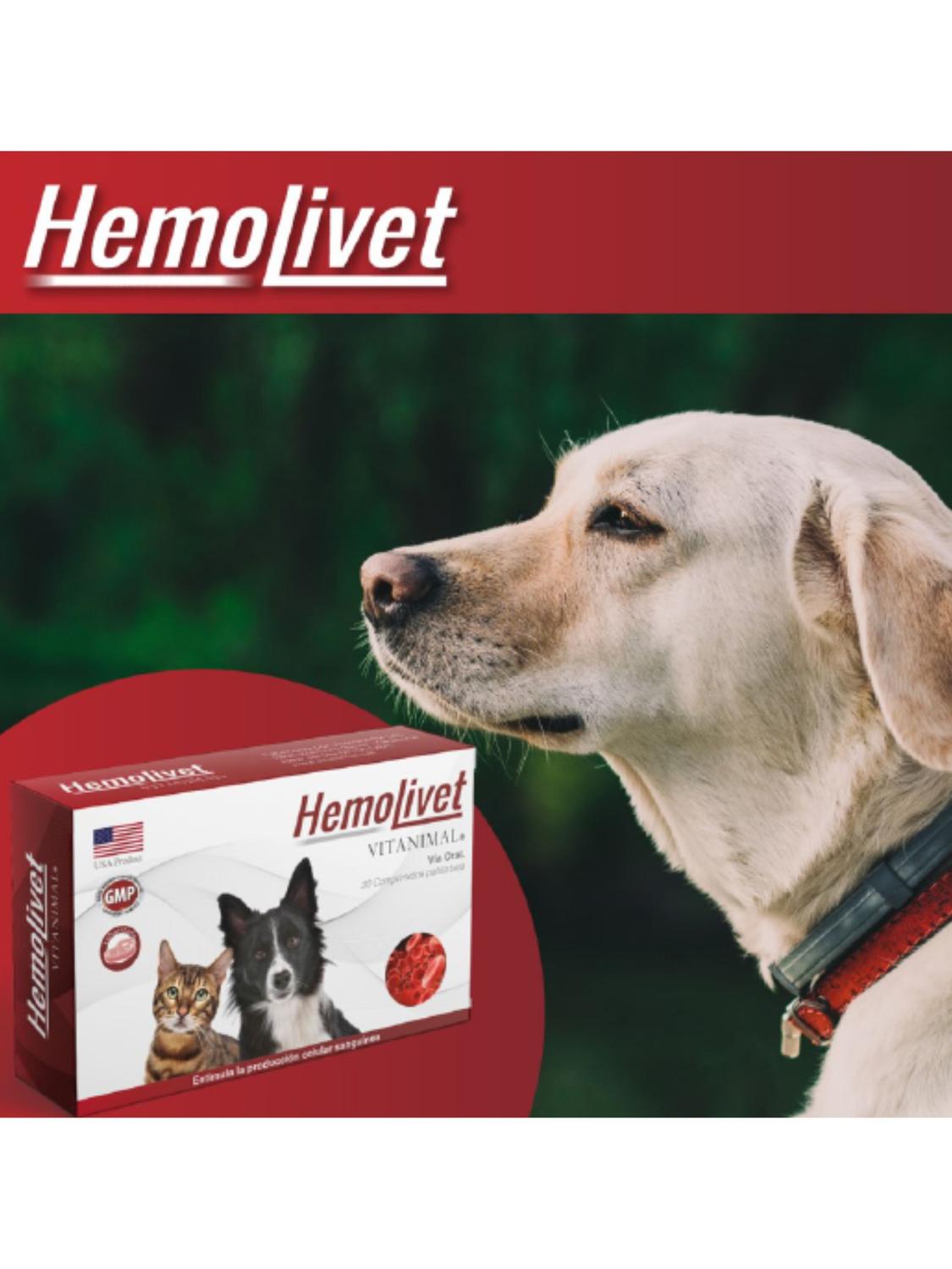 HEMOLIVET VITANIMAL - 10 COMPRIMIDOS - 3