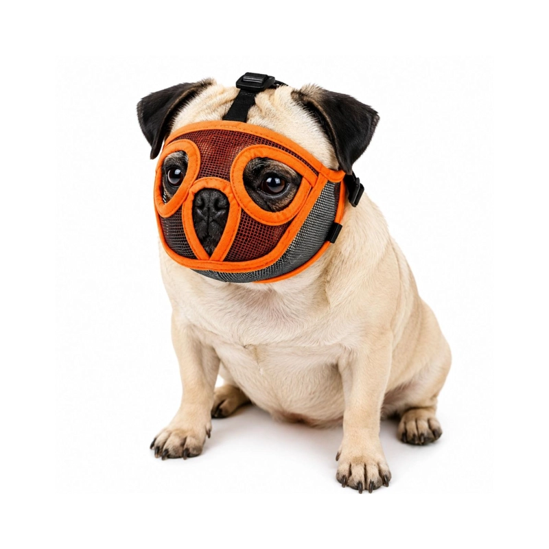 BOZAL PERRO BRAQUICE FALO S PUG BULLDOG FRANCE S 6-9KG - 1