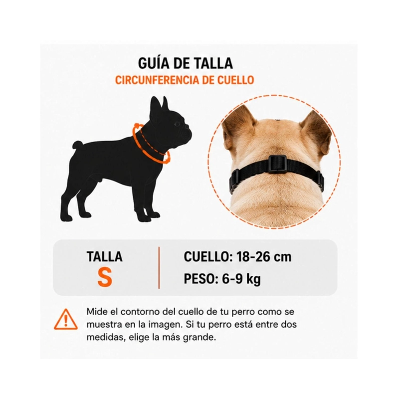 BOZAL PERRO BRAQUICE FALO S PUG BULLDOG FRANCE S 6-9KG - 2