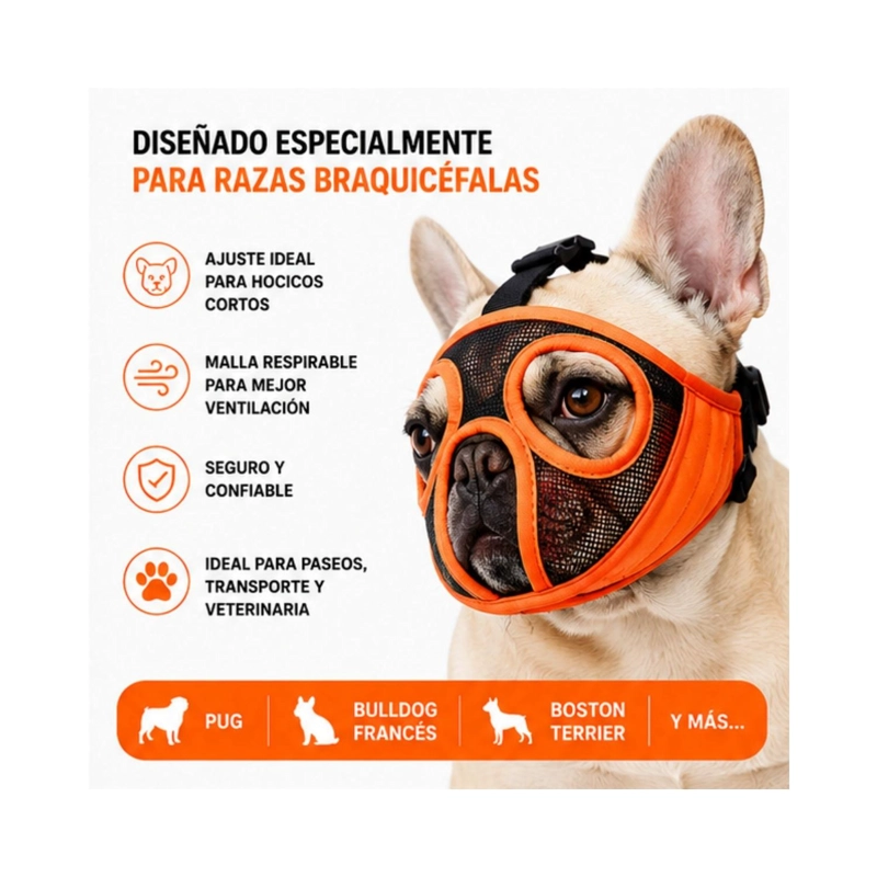 BOZAL PERRO BRAQUICE FALO S PUG BULLDOG FRANCE S 6-9KG - 3