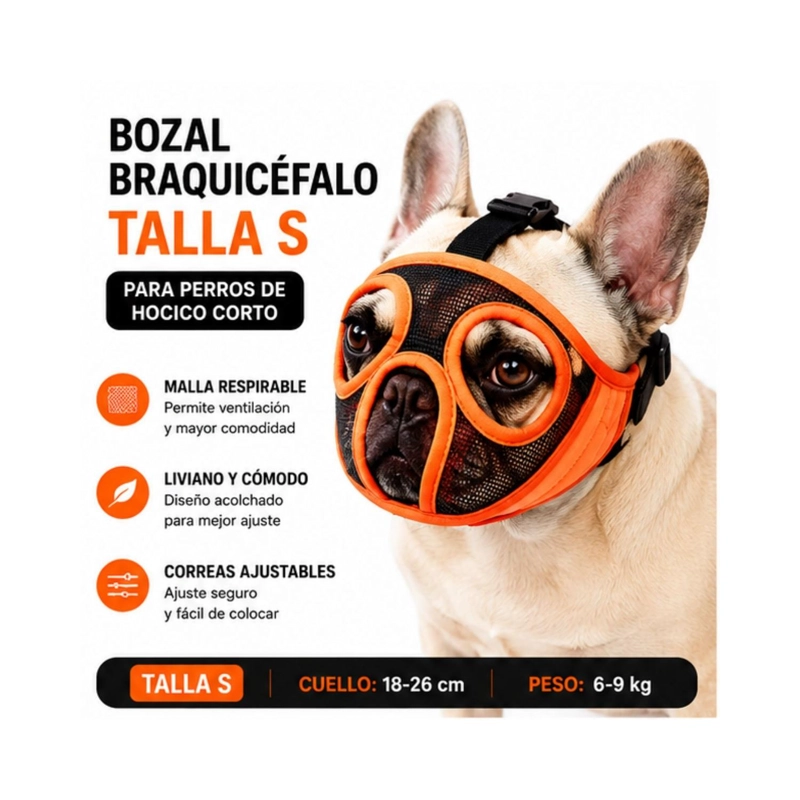 BOZAL PERRO BRAQUICE FALO S PUG BULLDOG FRANCE S 6-9KG - 4