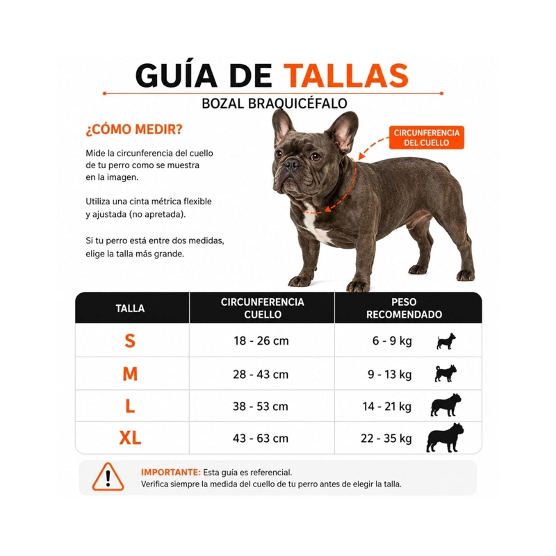 BOZAL PERRO BRAQUICE FALO S PUG BULLDOG FRANCE S 6-9KG - 5