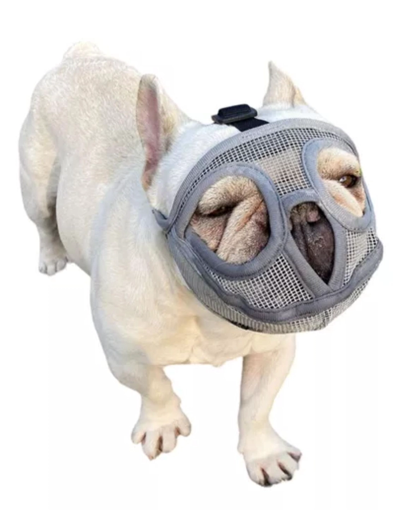 BOZAL PERRO BRAQUICE FALO S PUG BULLDOG FRANCE S 6-9KG - 7