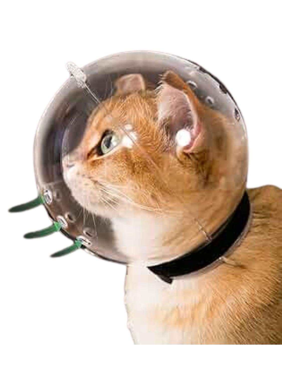 BOZAL CUPULA PARA GATOS PROTECTOR ANTI MORDIDAS - 92MM - 1
