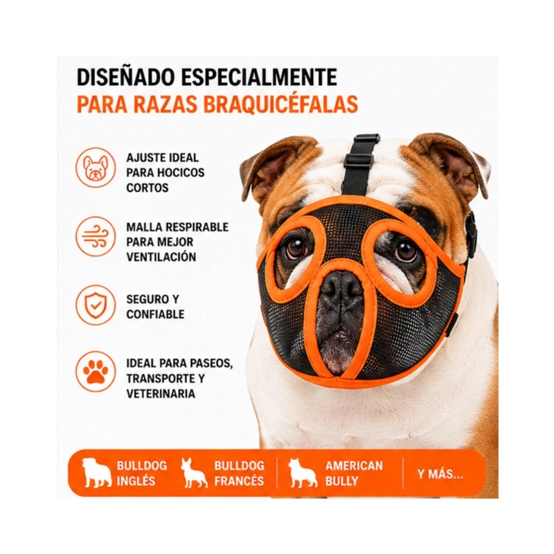 BOZAL PERRO BRAQUICE FALO L BULLDOG INGLE S 14-21KG - 3