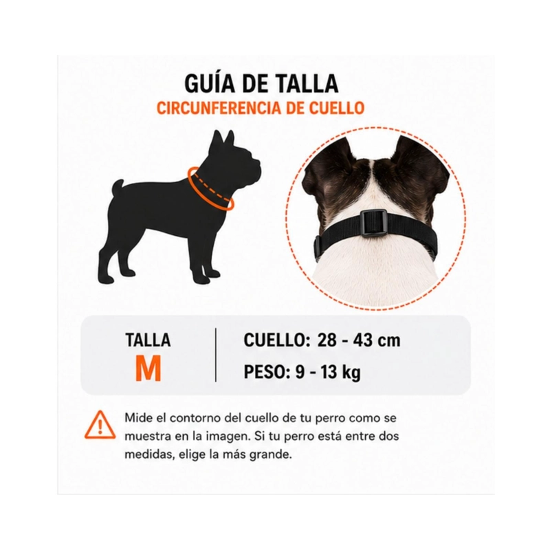BOZAL PERRO BRAQUICE FALO M BULLDOG FRANCE S 9-13KG - 2