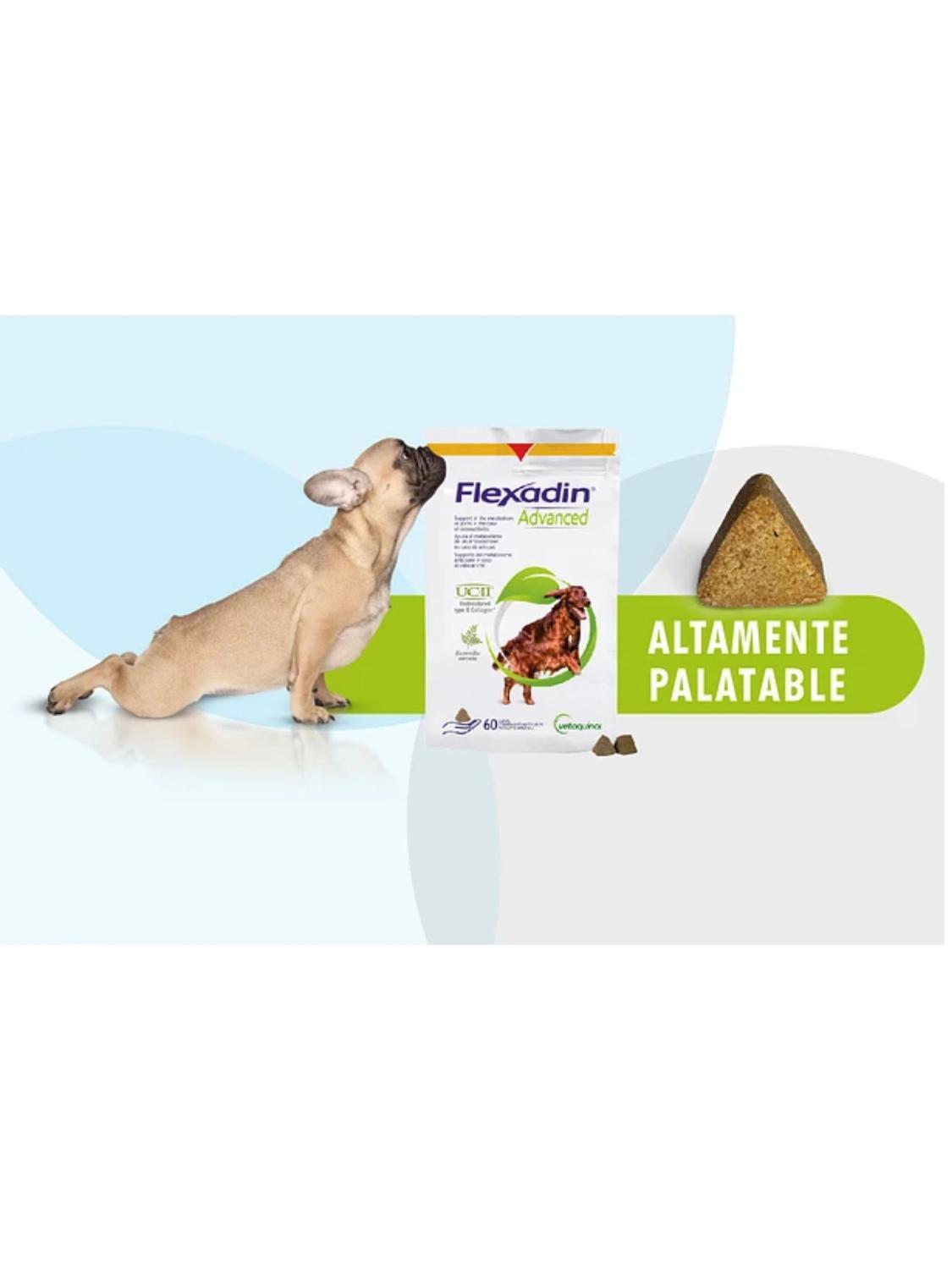 FLEXADIN ADVANDED 60 UNIDADES - 3