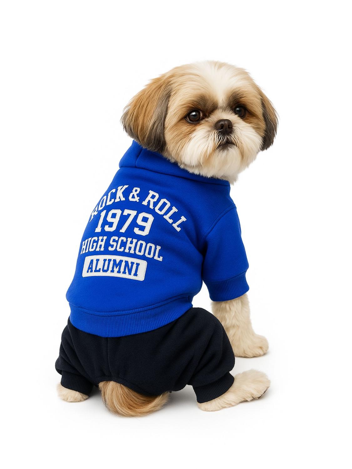 ROPA PARA MASCOTA ROCK POLAR TALLA L 35X22 CM - 1