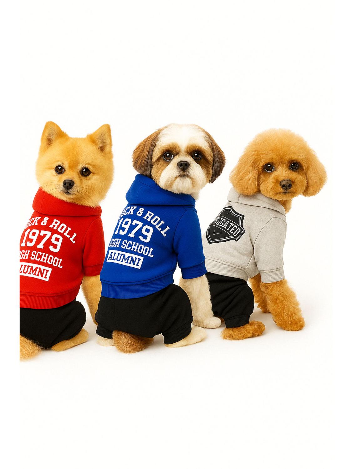 ROPA PARA MASCOTA ROCK POLAR TALLA L 35X22 CM - 4