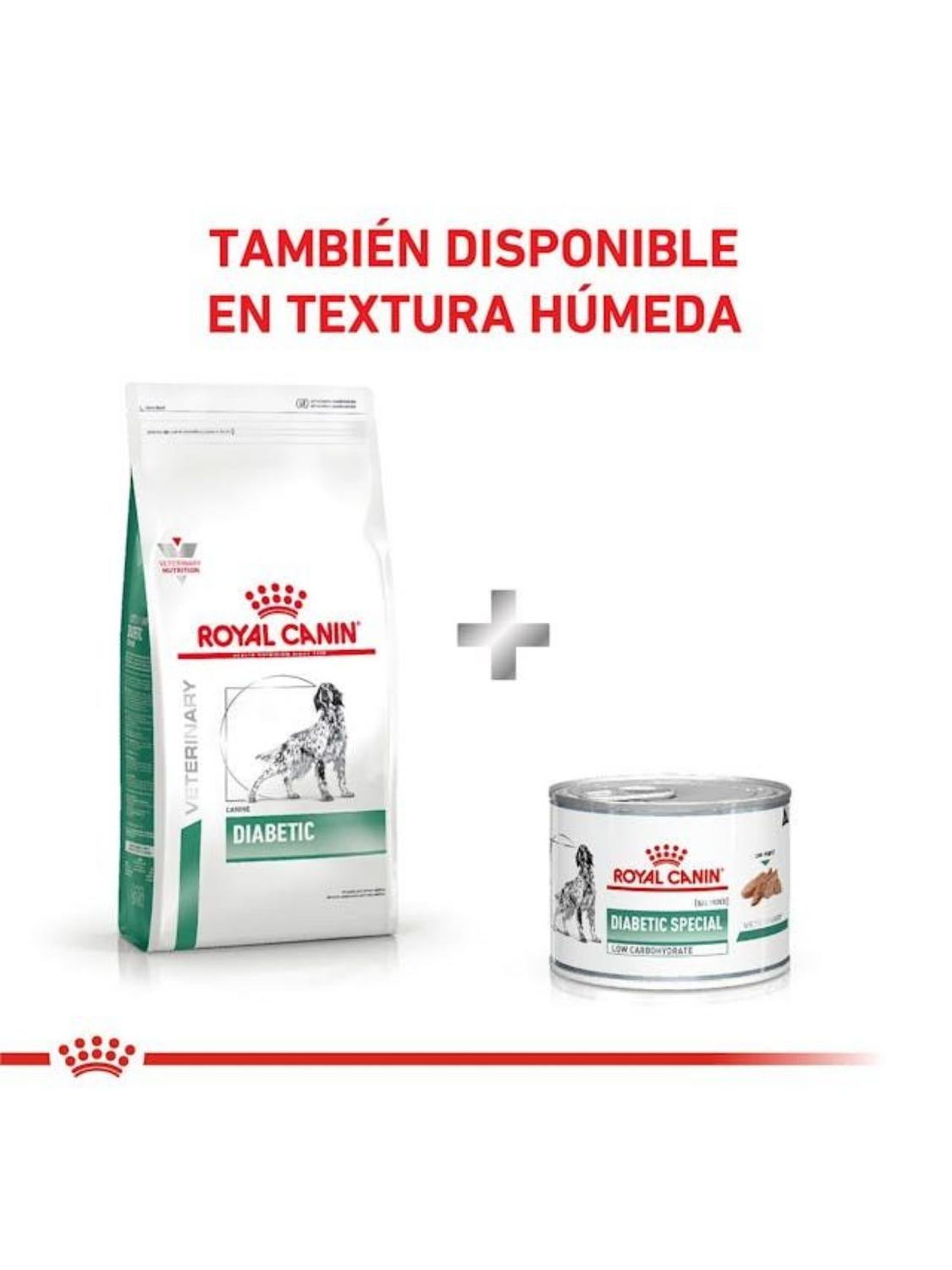 ALIMENTO ROYAL CANIN DIABETIC CANINE 10KG - 2