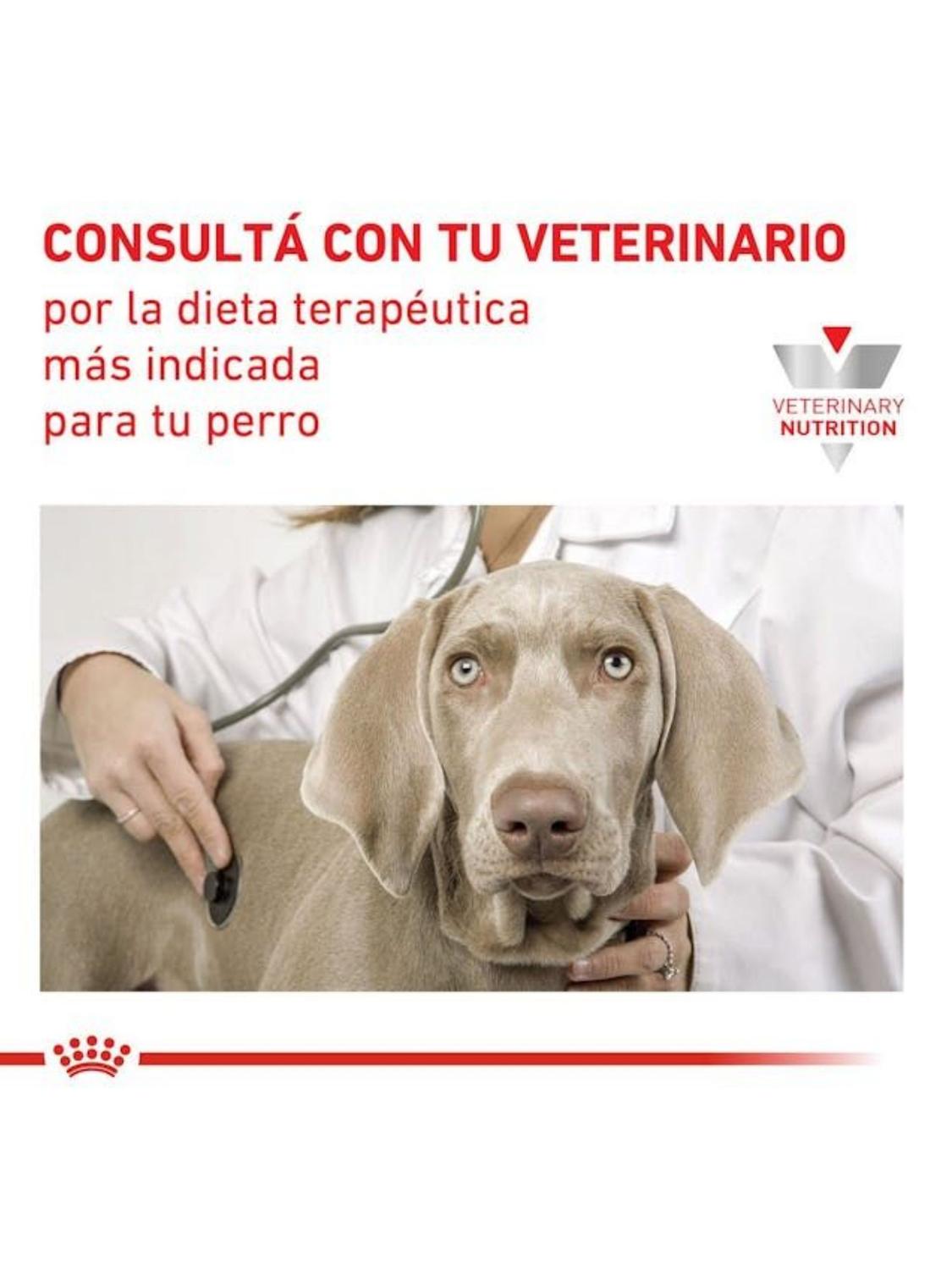 ALIMENTO ROYAL CANIN DIABETIC CANINE 10KG - 4