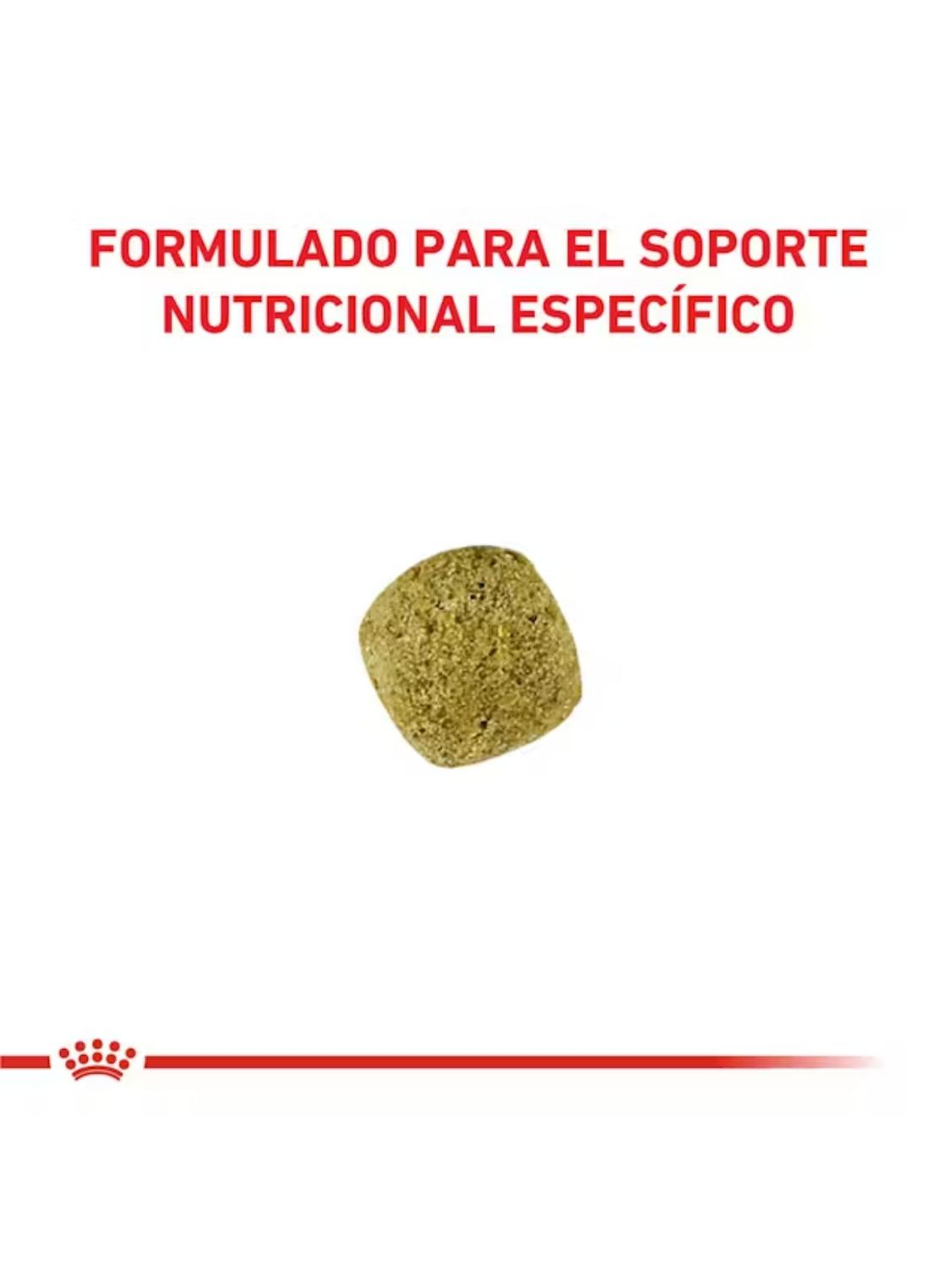 ALIMENTO ROYAL CANIN DIABETIC CANINE 10KG - 5