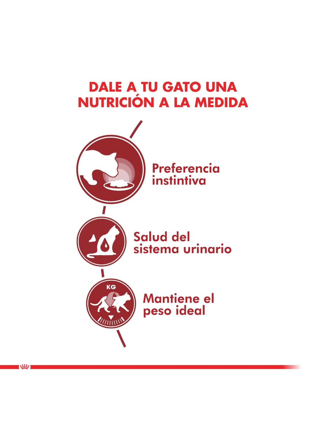 ALIMENTOS ROYAL CANIN POUCH ADULT INSTINCTIVE GATO 85G (12 UNIDADES) - 3