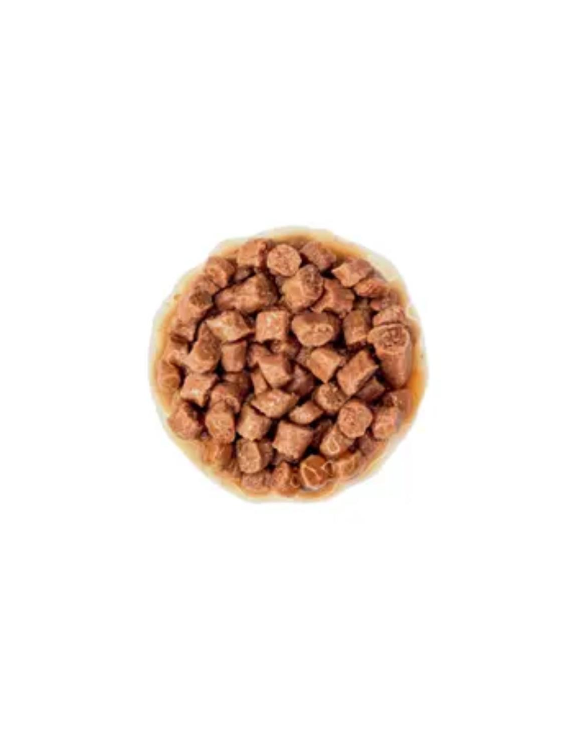 ROYAL CANIN KITTEN STERILISED POUCH 85G PACK 12 GATOS - 8