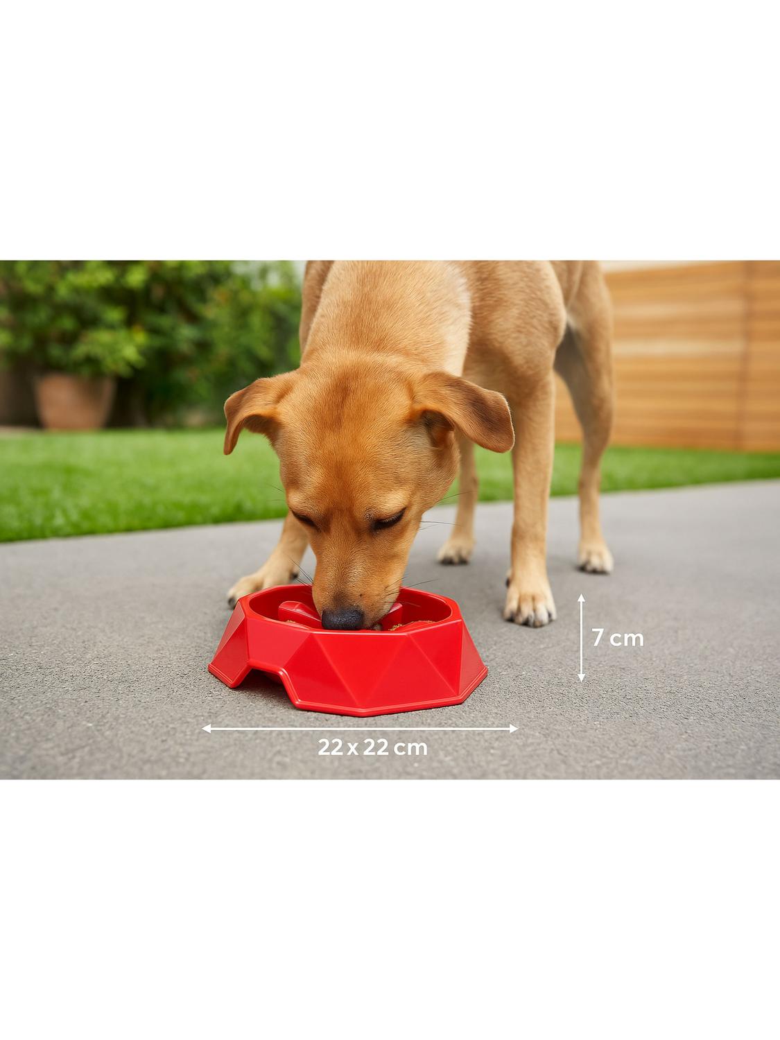 PLATO ALIMENTACION LENTA HEY! ROJO 22X22X7 CM PERROS - 2