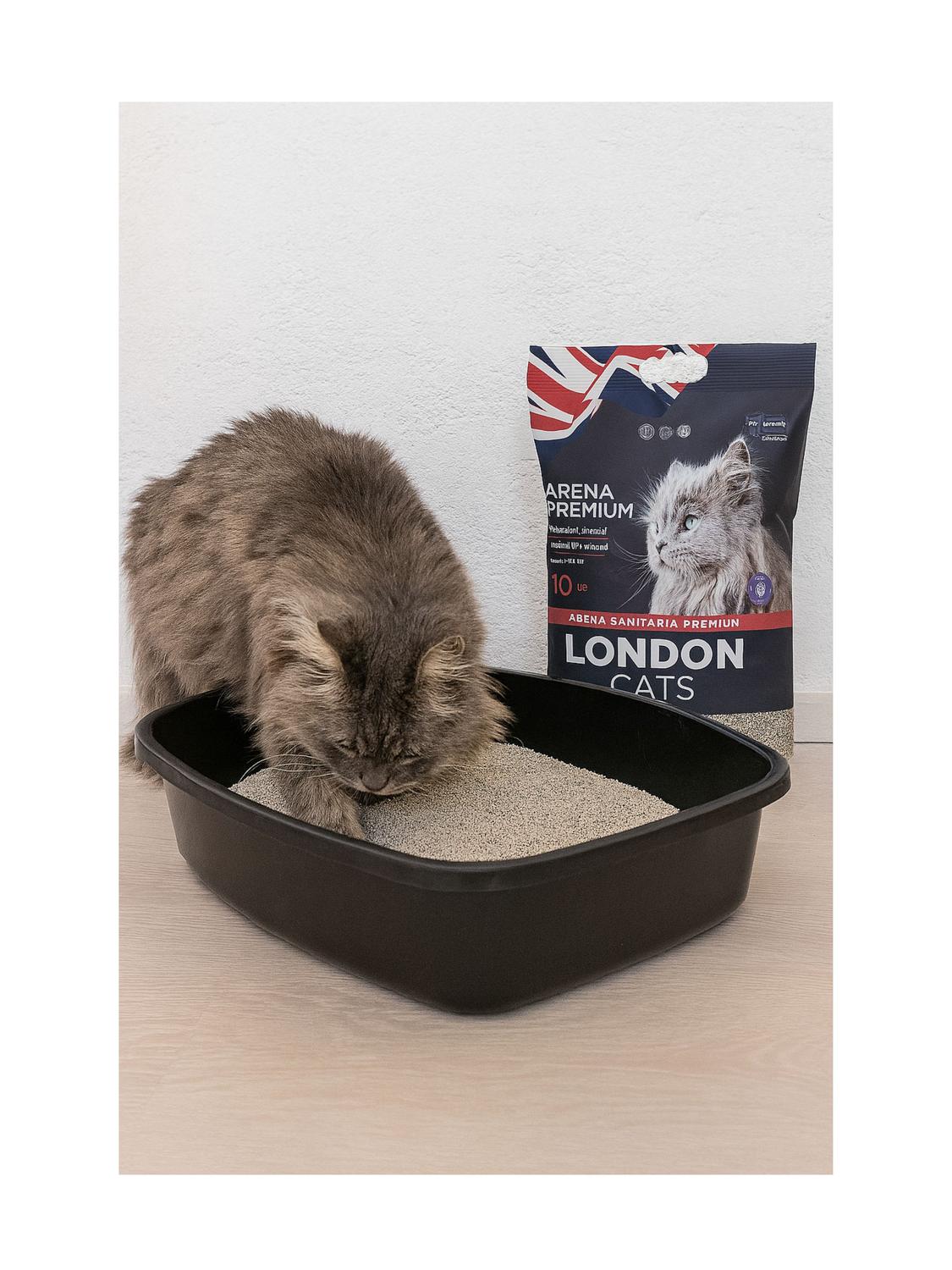 ARENA SANITARIA LONDON CATS 10 KG LAVANDA PARA GATOS - 2