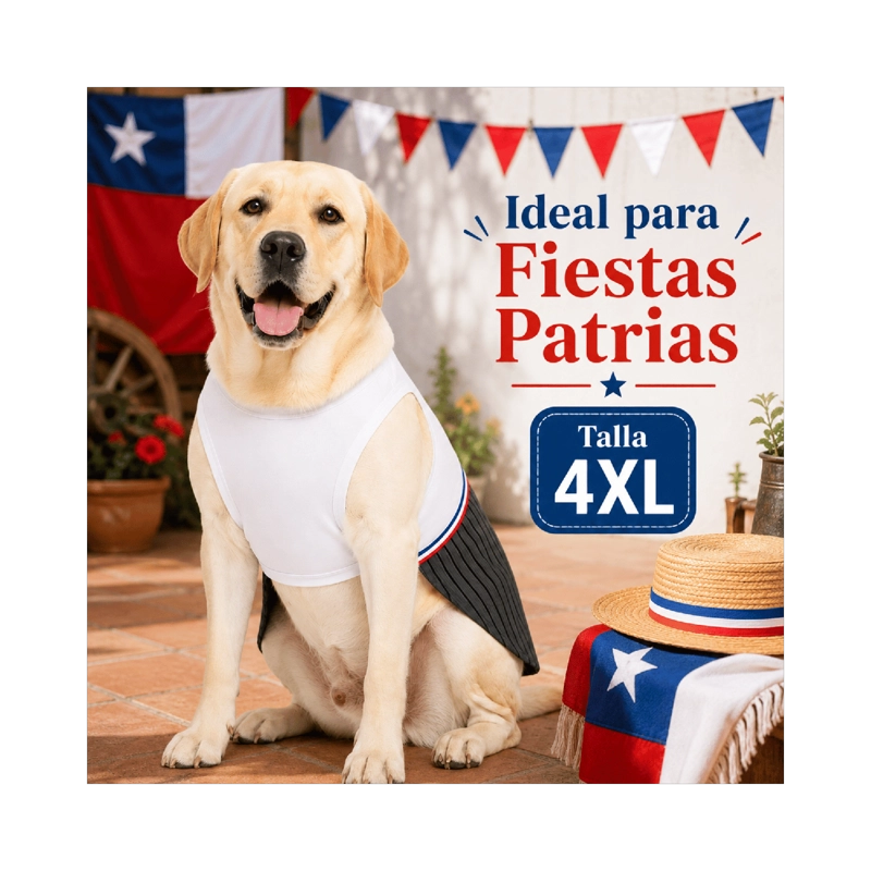 TRAJE DE HUASO CHILENO PARA PERRO TALLA 4XL - 2