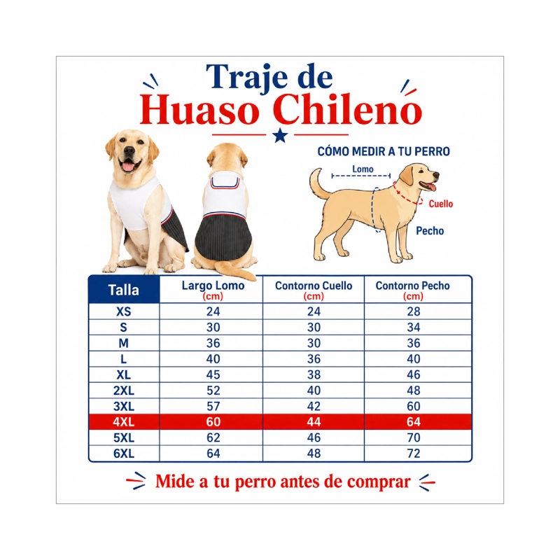 TRAJE DE HUASO CHILENO PARA PERRO TALLA 4XL - 4