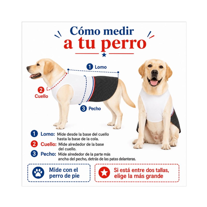 TRAJE DE HUASO CHILENO PARA PERRO TALLA 4XL - 7