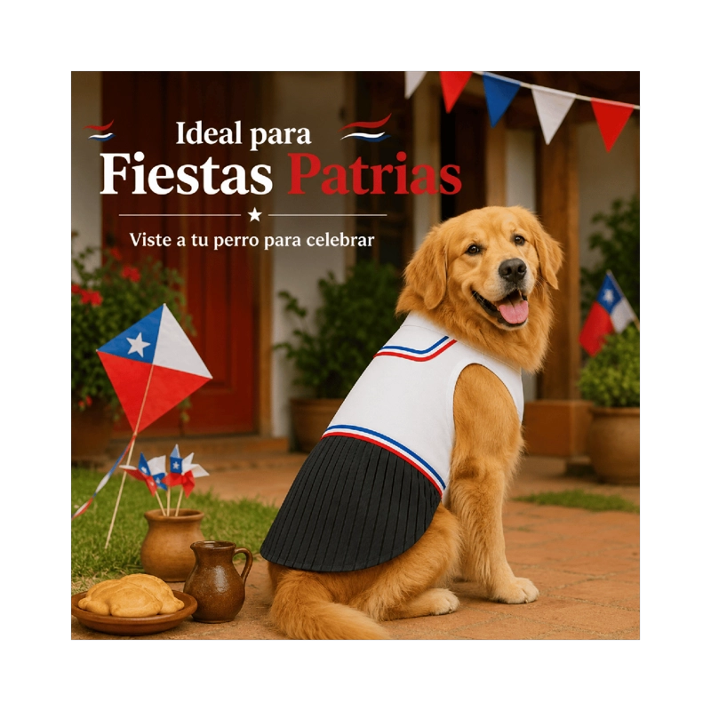 TRAJE DE HUASO CHILENO PARA PERRO TALLA 6XL - 2