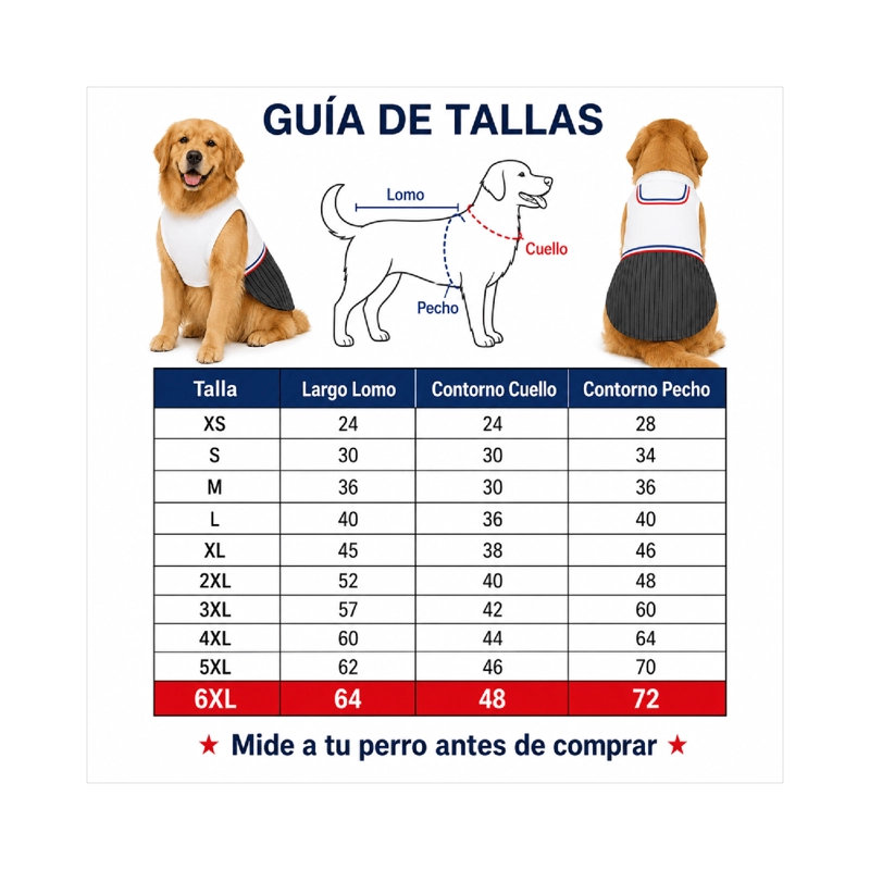 TRAJE DE HUASO CHILENO PARA PERRO TALLA 6XL - 4