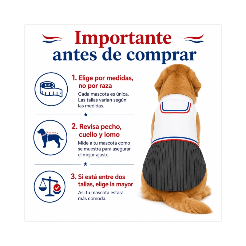 TRAJE DE HUASO CHILENO PARA PERRO TALLA 6XL - 5