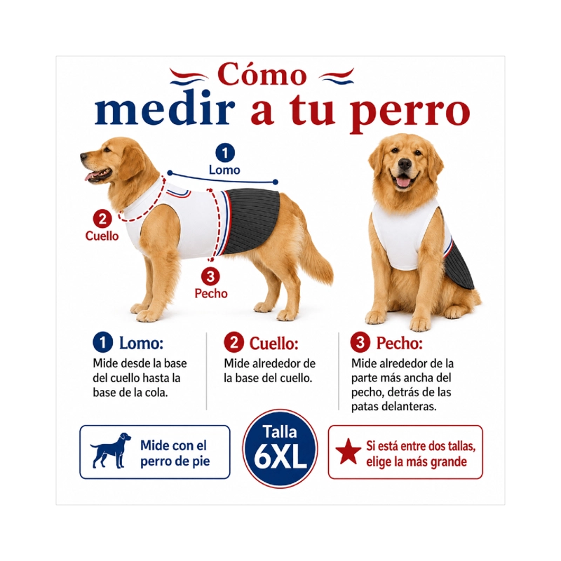 TRAJE DE HUASO CHILENO PARA PERRO TALLA 6XL - 6