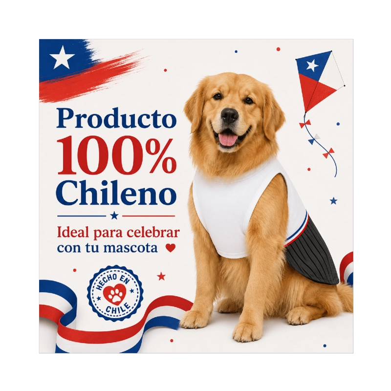 TRAJE DE HUASO CHILENO PARA PERRO TALLA 6XL - 7