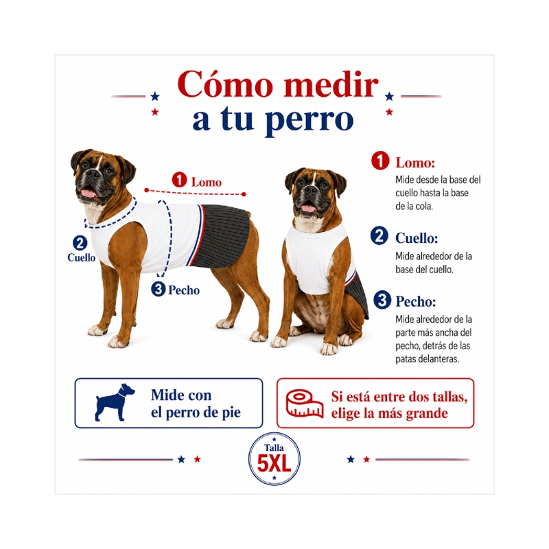 TRAJE DE HUASO CHILENO PARA PERRO TALLA 5XL - 6