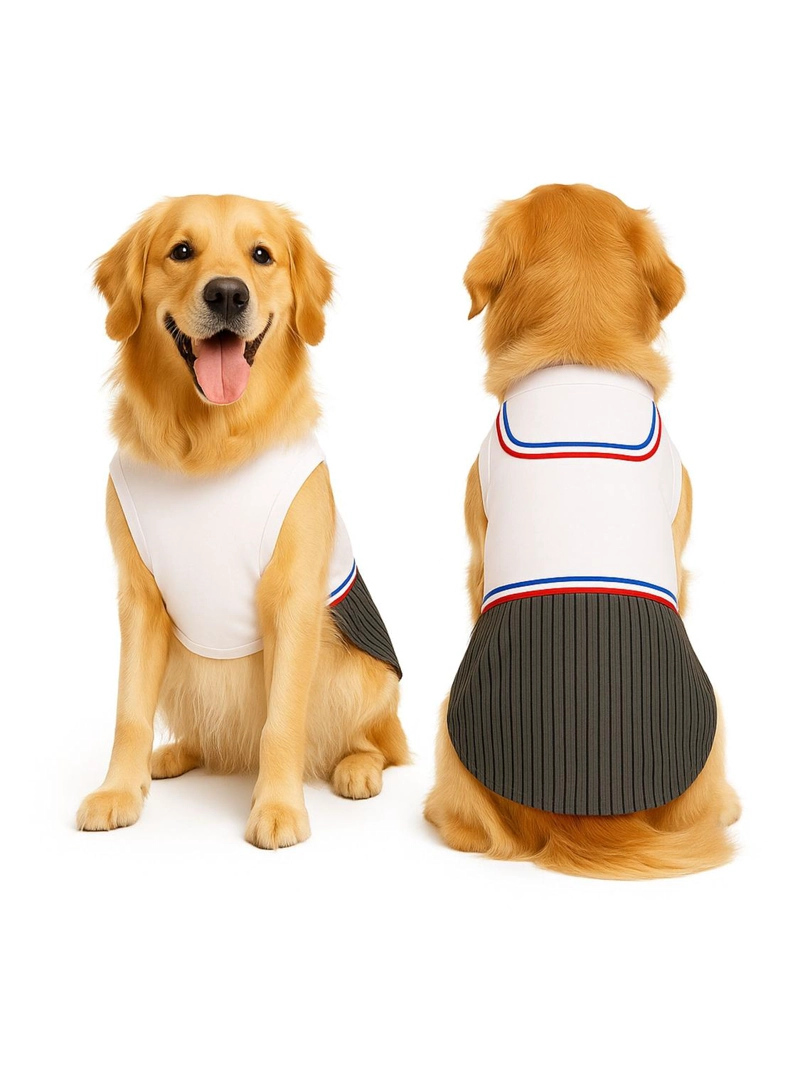 TRAJE DE HUASO CHILENO PARA PERRO TALLA 5XL - 9