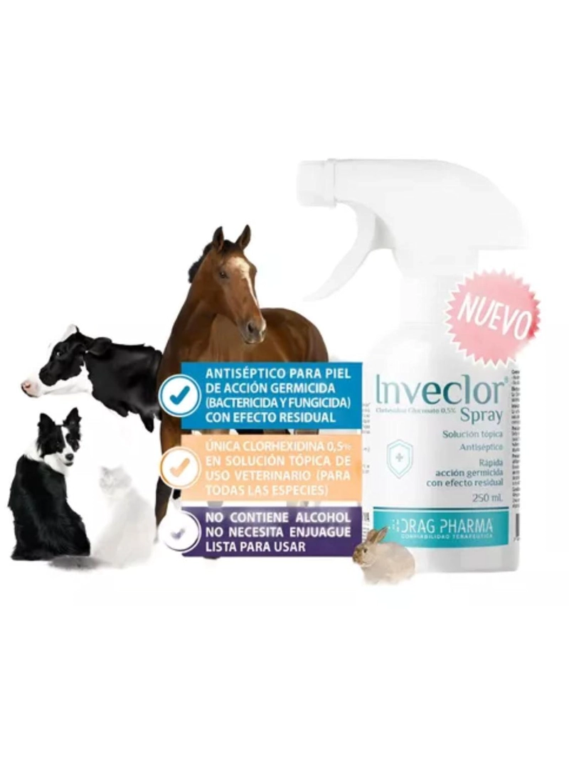 INVECLOR SPRAY 250 ML | USO VETERINARIO - 2