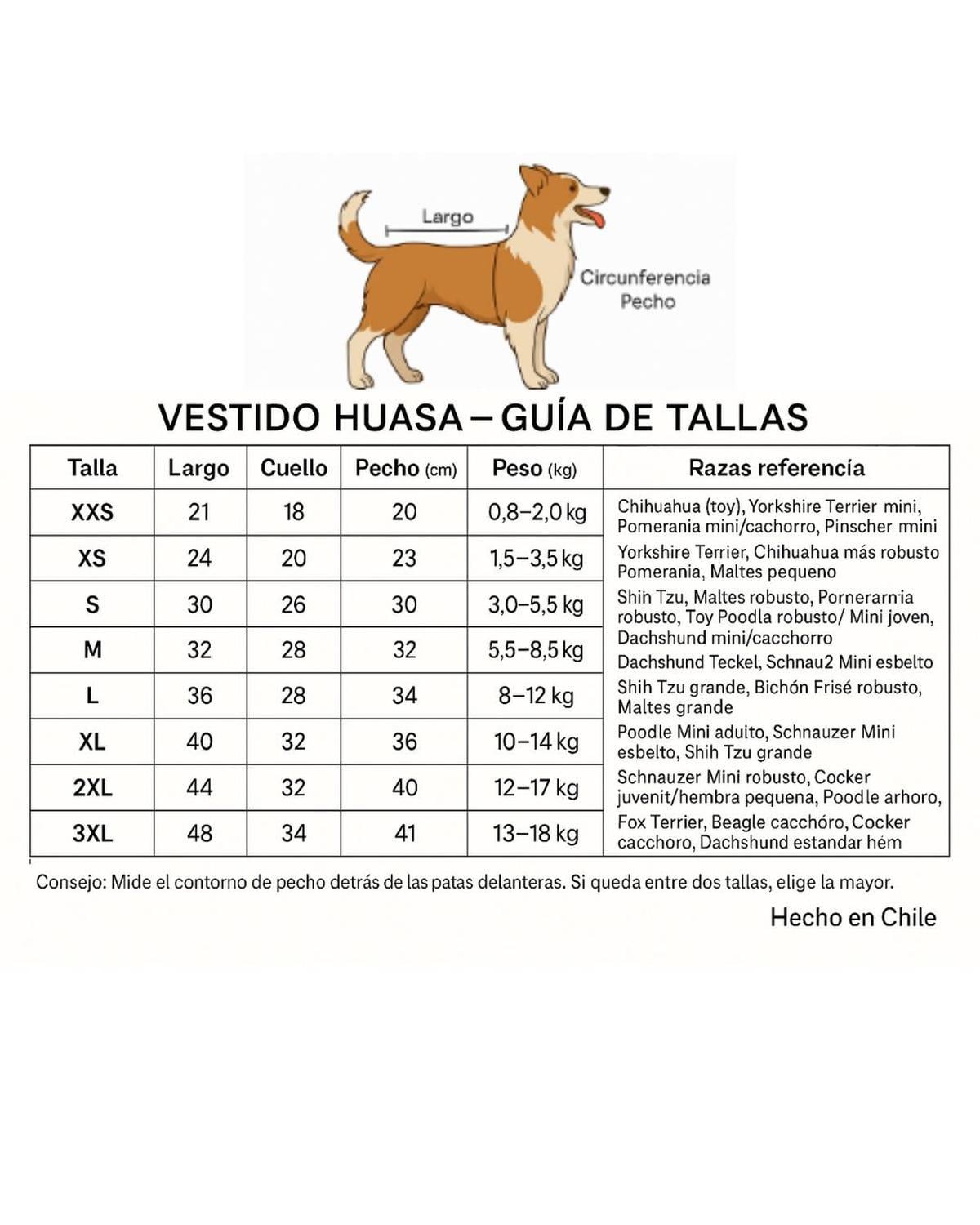 VESTIDO HUASA CHINA PARA PERRO TALLA XS | FIESTAS PATRIAS - 2