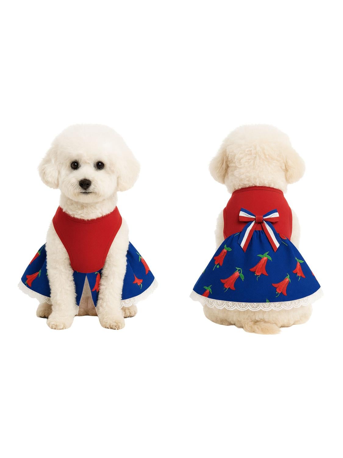 VESTIDO HUASA CHINA PARA PERRO TALLA XS | FIESTAS PATRIAS - 6
