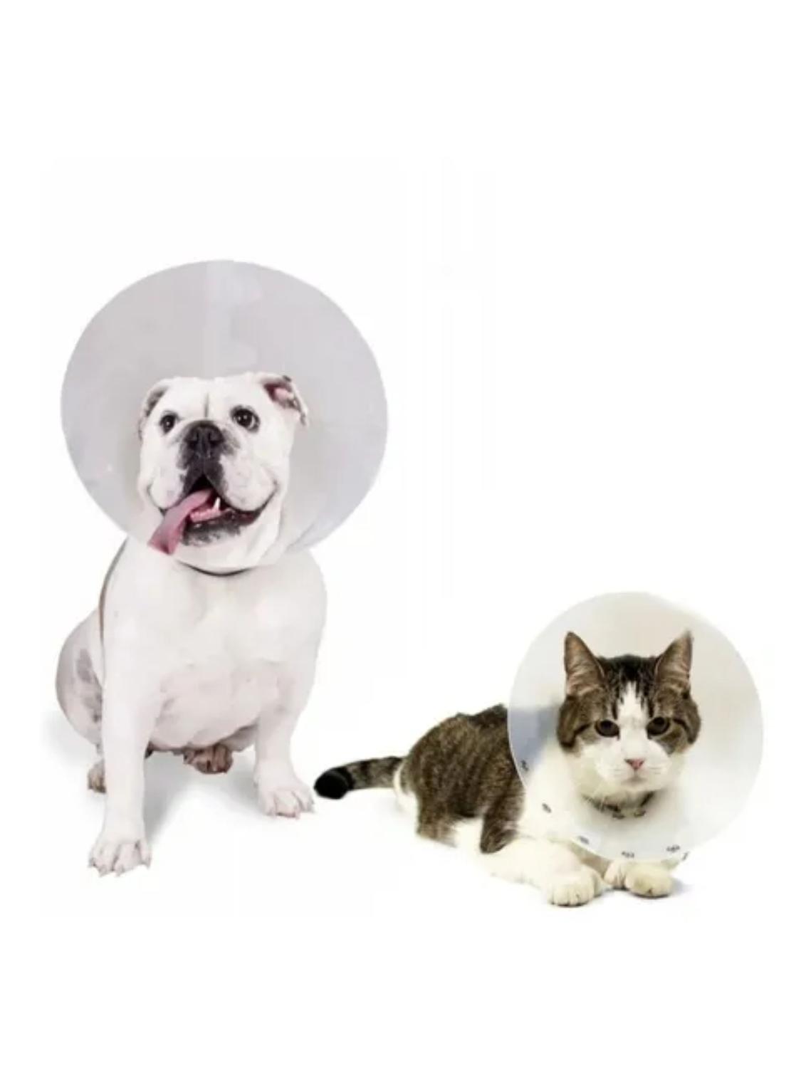 COLLAR ISABELINO VELCRO TALLA 5 – 22-26 CM X 12,5 CM - 3