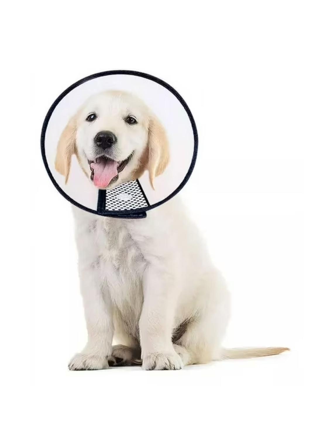 COLLAR ISABELINO VELCRO TALLA 2+ – 33-37 CM X 18 CM - 8