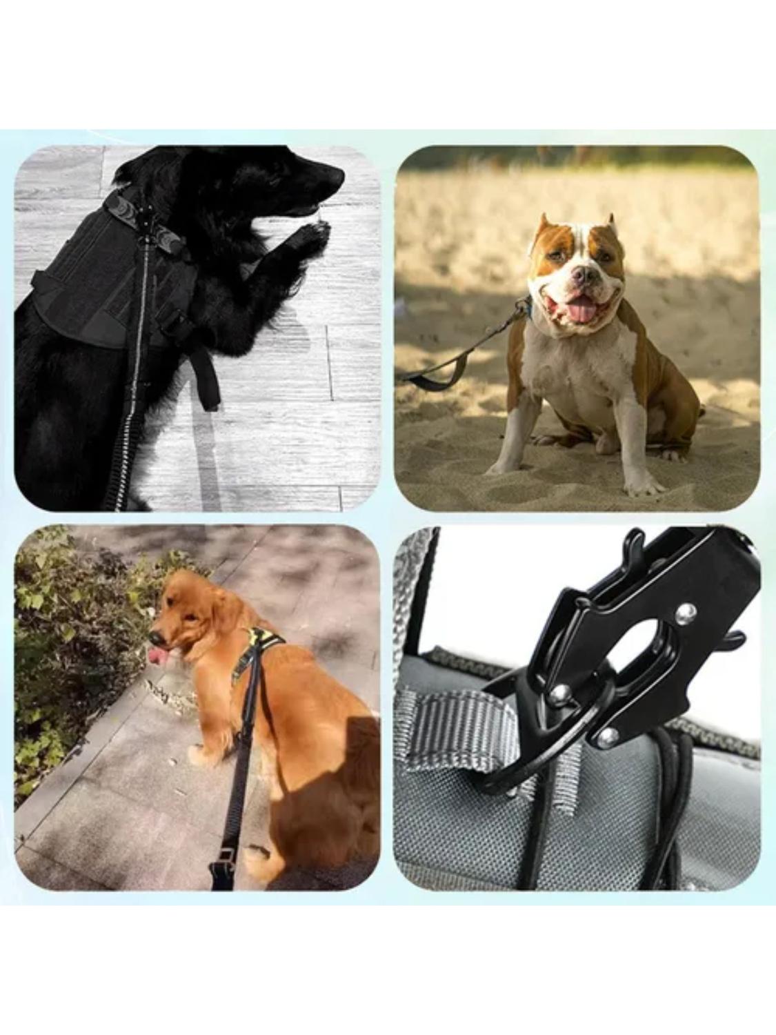 CORREA REFLECTANTE ANTIDESLIZANTE XL 10MT WONDER DOG - 3