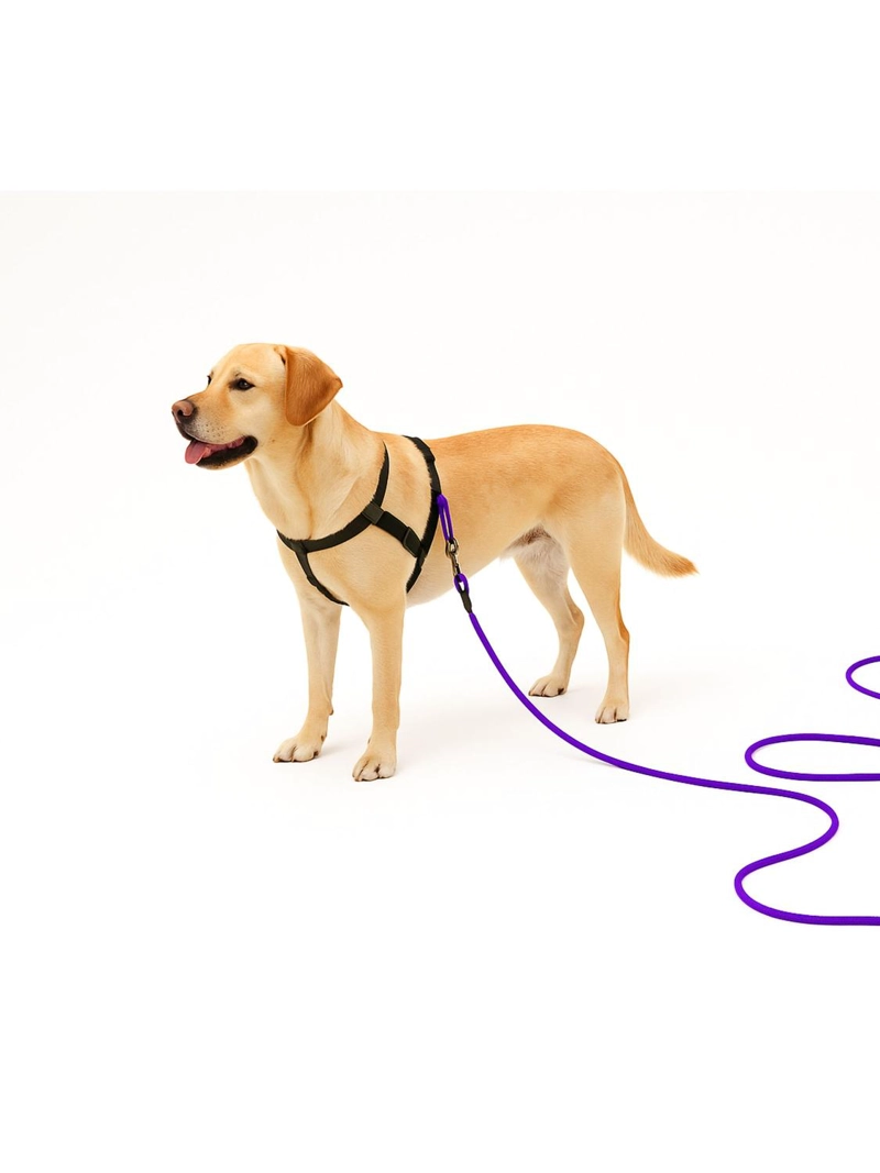 CORREA ADIESTRAMIENTO PERRO 10 METROS NYLON RESISTENTE - 5