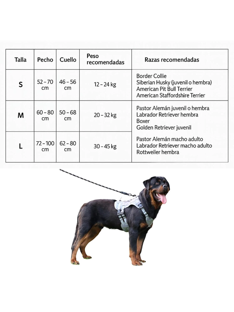 ARNE S TACTICO PERRO TALLA M AJUSTABLE REFORZADO CON MANILLA - 3