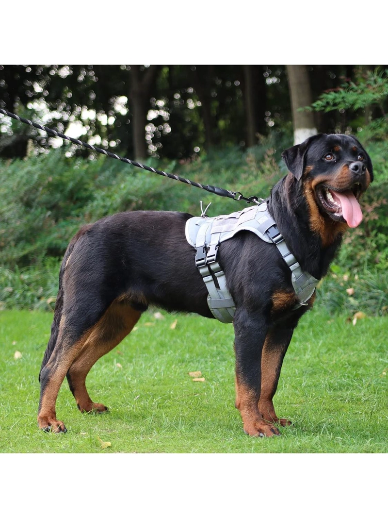 ARNE S TACTICO PERRO TALLA M AJUSTABLE REFORZADO CON MANILLA - 6