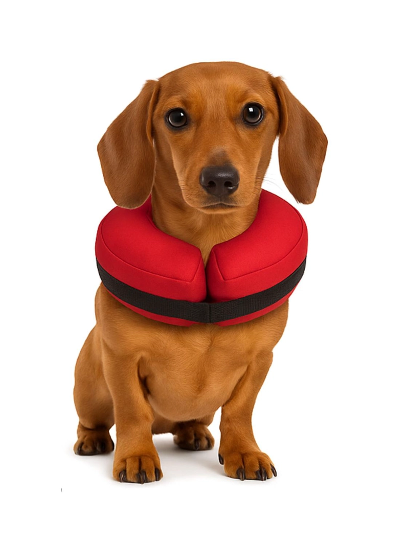 COLLAR INFLABLE S (15-25 CM) RECUPERACION PERROS Y GATOS - 1