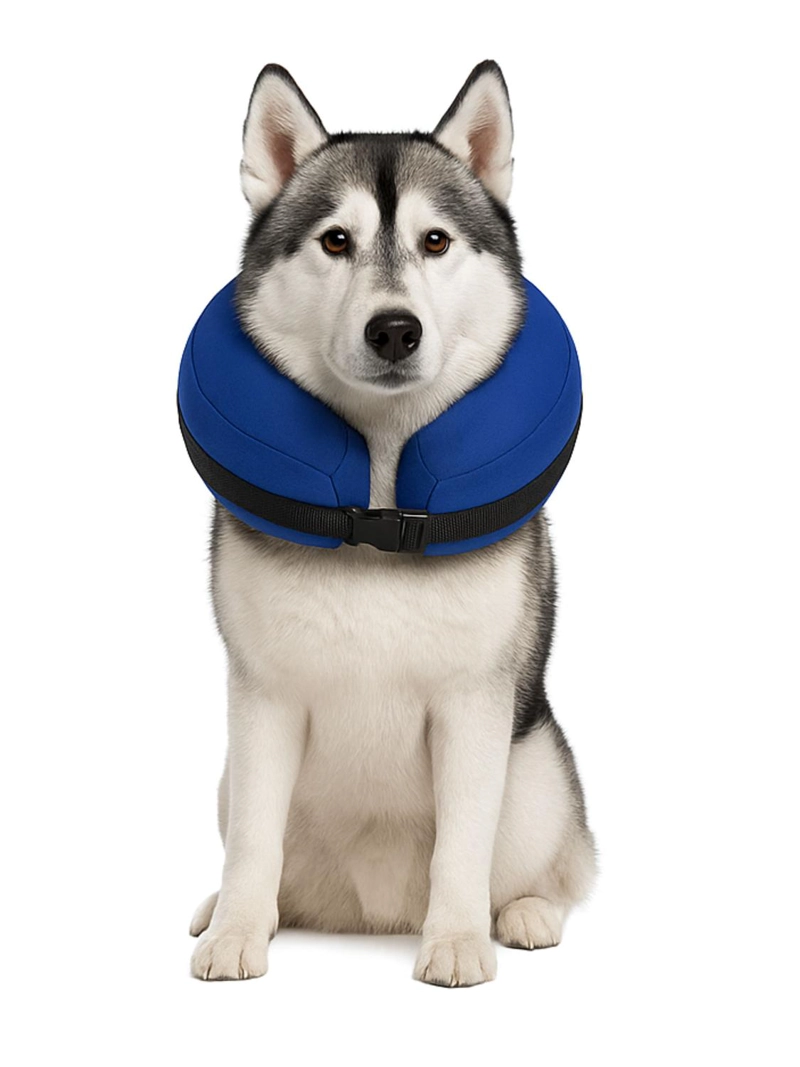 COLLAR INFLABLE XL (45-56 CM) RECUPERACION PERROS