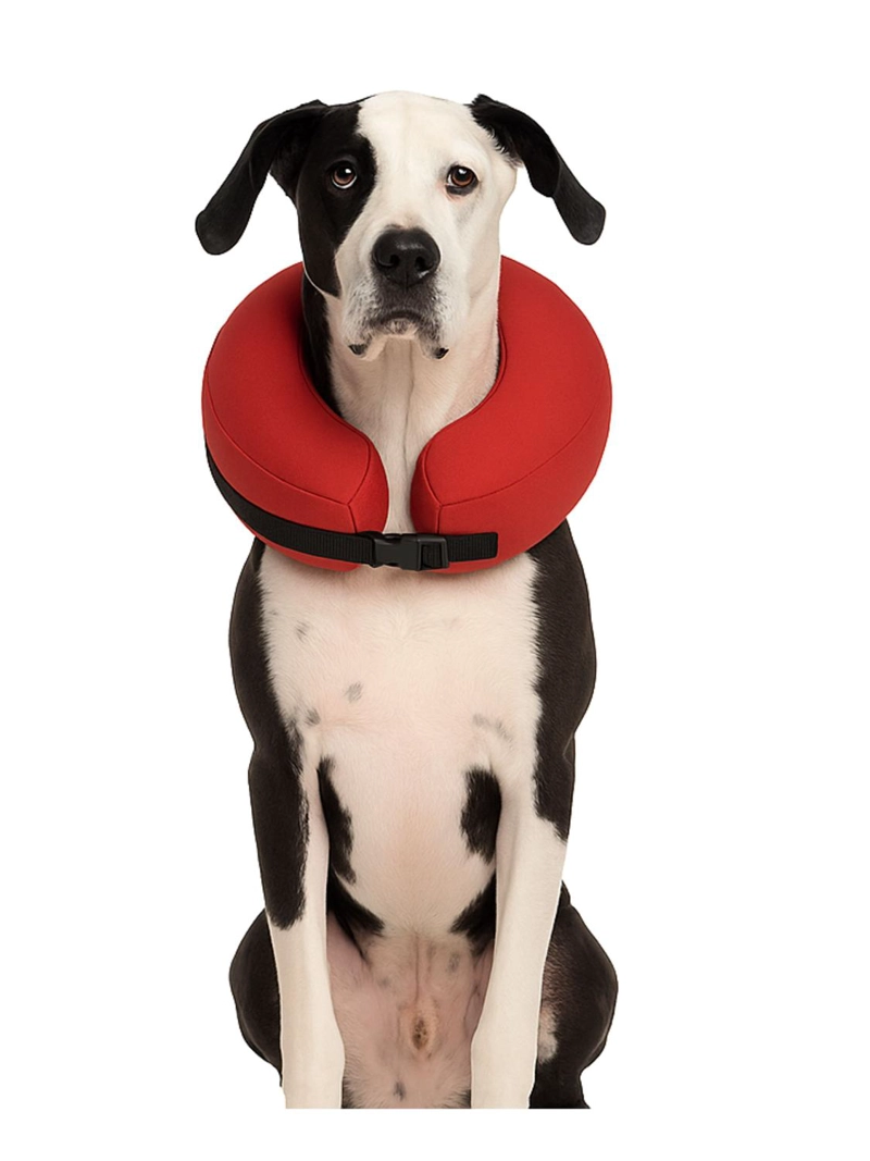 COLLAR INFLABLE XXL (+56 CM) RECUPERACION PERROS GRANDES - 1