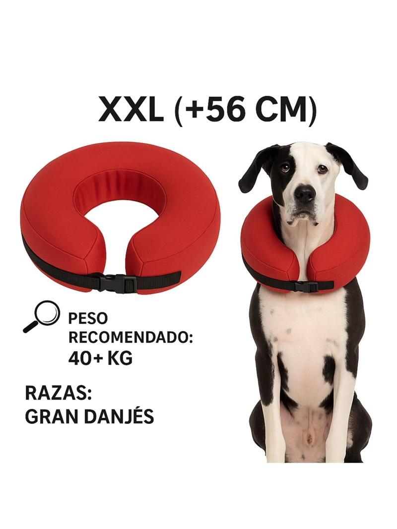 COLLAR INFLABLE XXL (+56 CM) RECUPERACION PERROS GRANDES - 2
