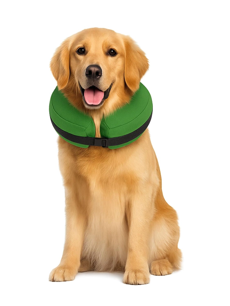 COLLAR INFLABLE L (33-45 CM) RECUPERACION PERROS - 1