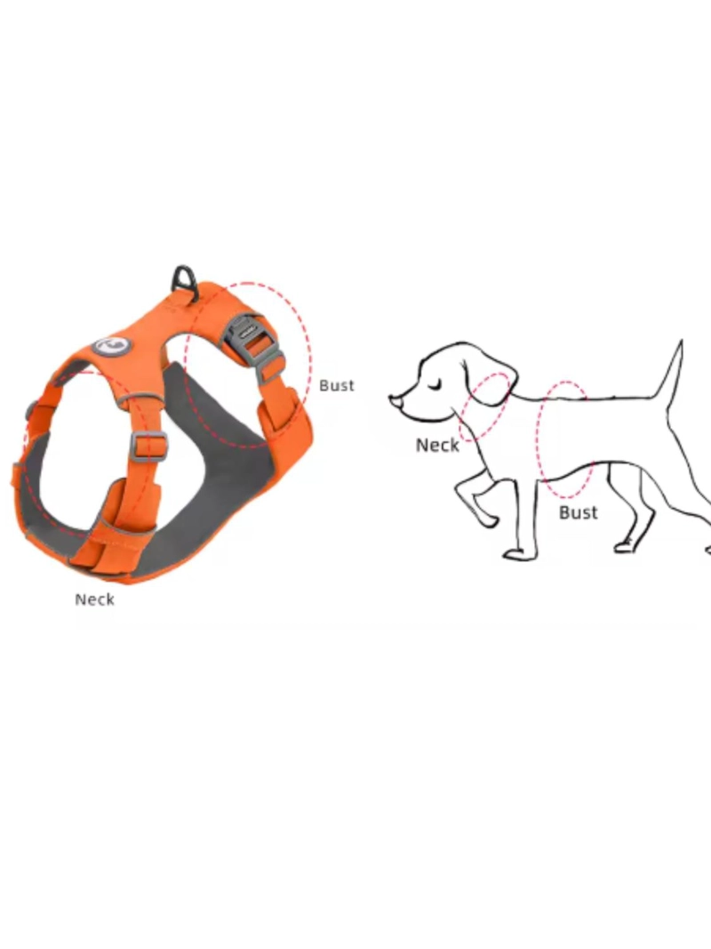 ARNE S ANTITIRONES ANTIASFIXIA PARA PERRO TALLA S - 5